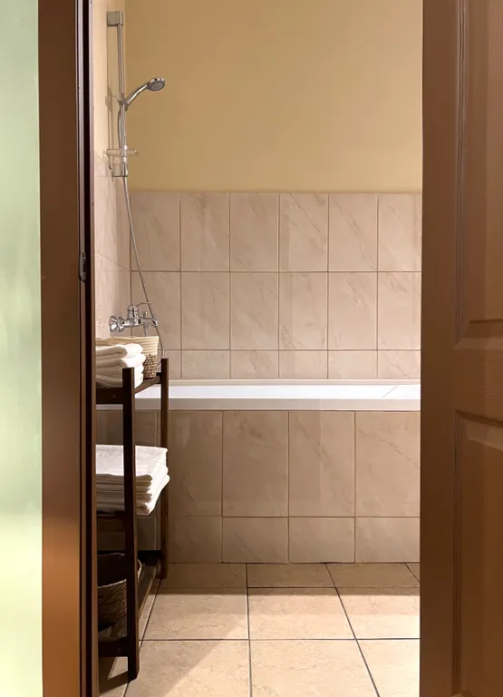 Апартамент в старинном купеческом особняке