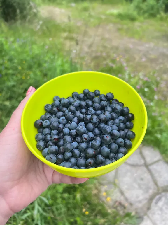 Дом у озера из натурального дерева