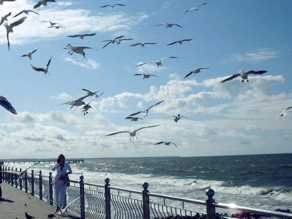 Стильная квартира в 5-ти минутах от моря