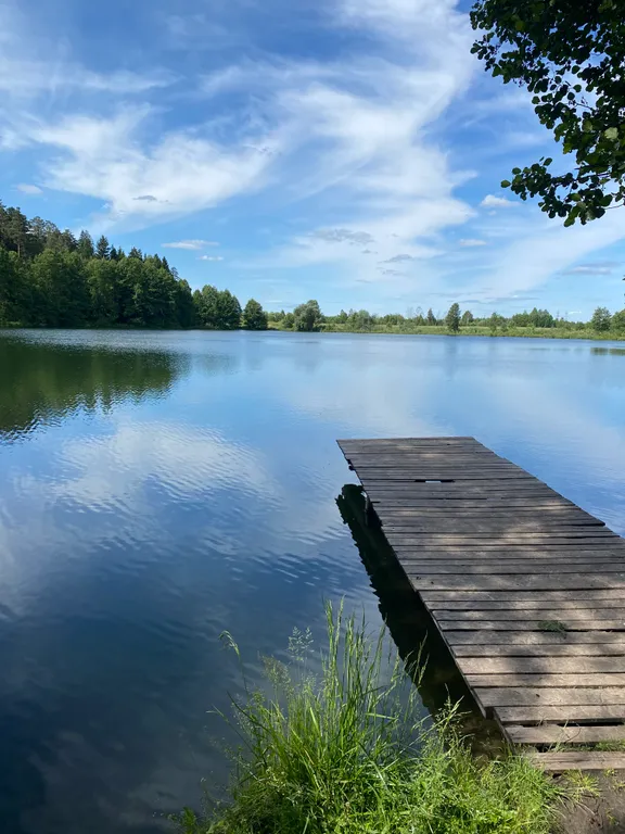 Уютный барн-хаус у леса с купелью и баней