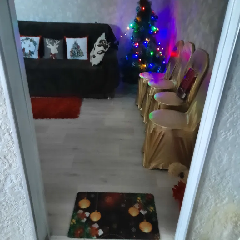 Уютная квартира в тихом районе города с видом на лес