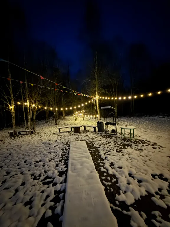 Просторный дом с видом на настоящий лес