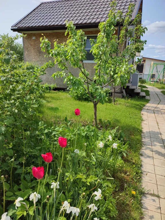 Коттедж Дом с 2 спальнями — Луга