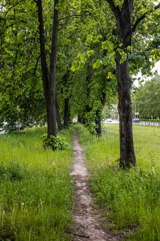 Студия в Московском районе