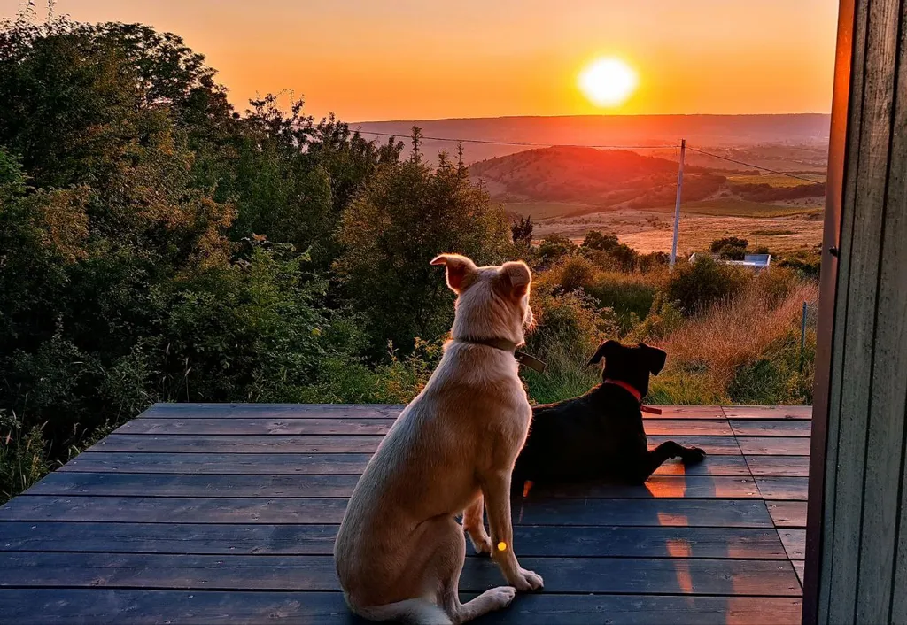 Уютная дача с фантастическими видами и купелью на дровах