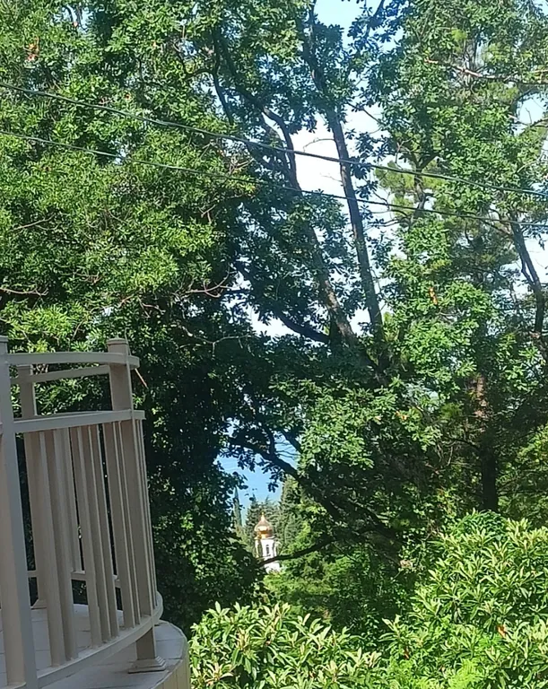 Квартира Квартира Двухместный номер уют — Сочи