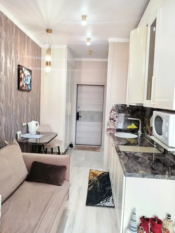 1-комнатная квартира с террасой