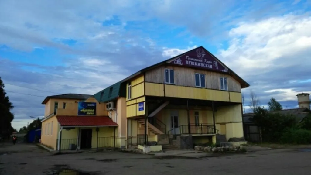 Пушкинская