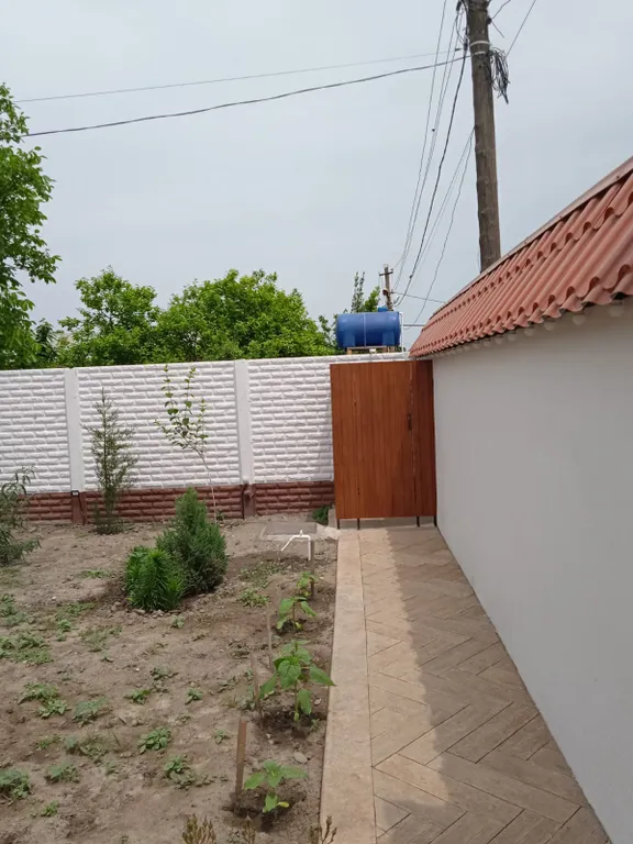 Коттедж у моря и лианового леса