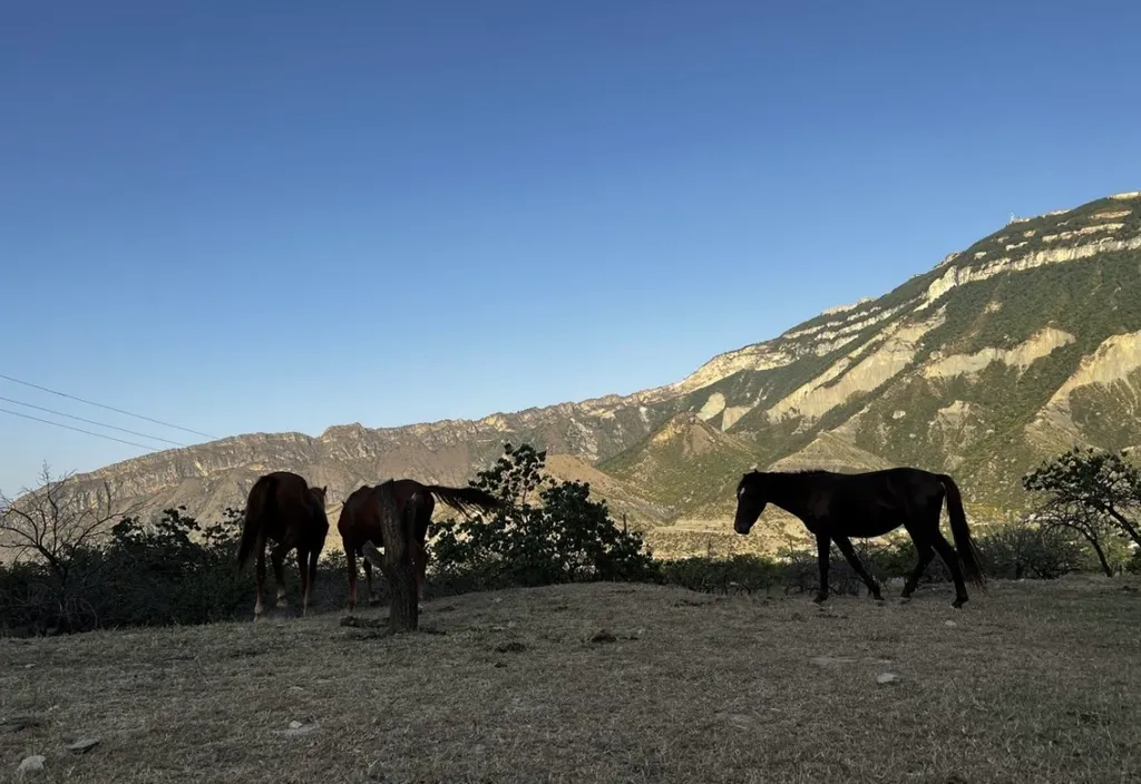 Дом с видом на горы
