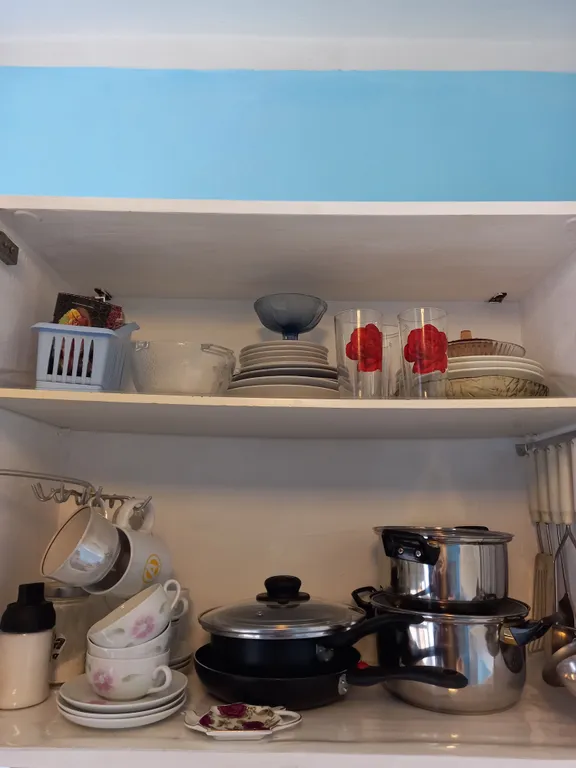 Рыбки-котики