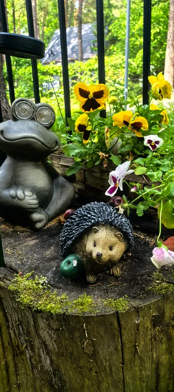 Квартира Квартира Amber пешком 7 минут до моря — Светлогорск