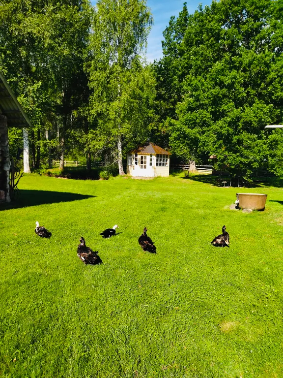 Хутор- музей Малиновка