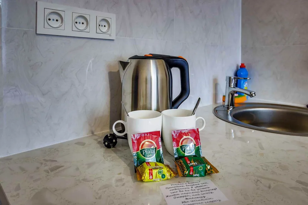 Студия — комната с мини-кухней и собственным санузлом