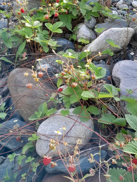 Уютная квартира с видом на горы