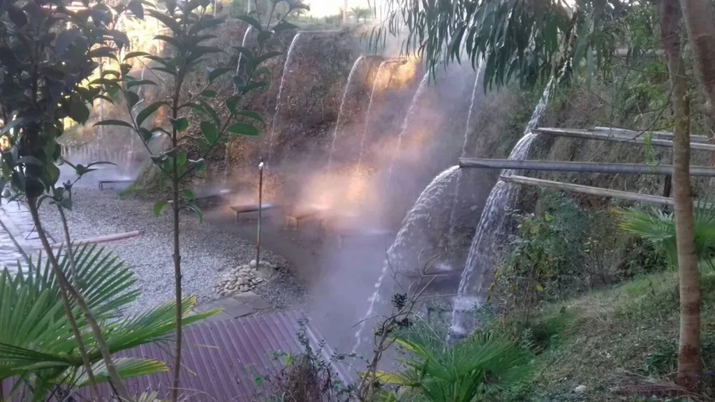 Уютные семейные апартаменты Абхазии