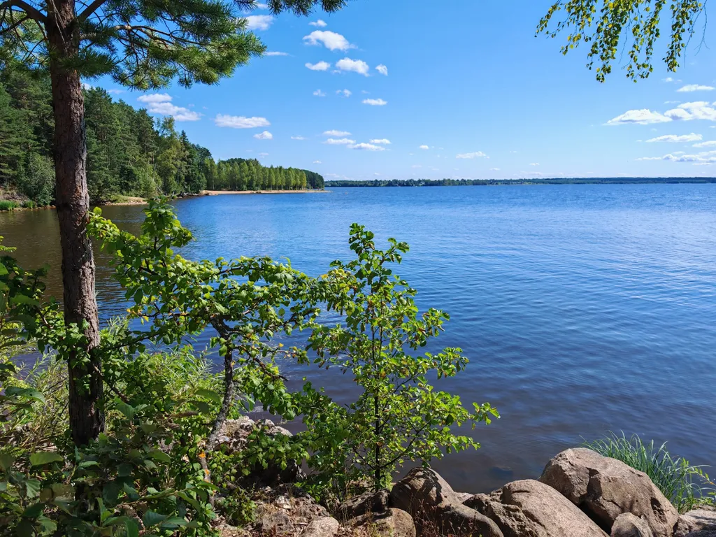 Коттедж Дом с тремя спальнями в турбазе чайка (селигер) — Турбаза Чайка