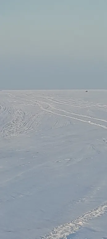 Коттедж Загородный дом на Ладоге — Новая Ладога
