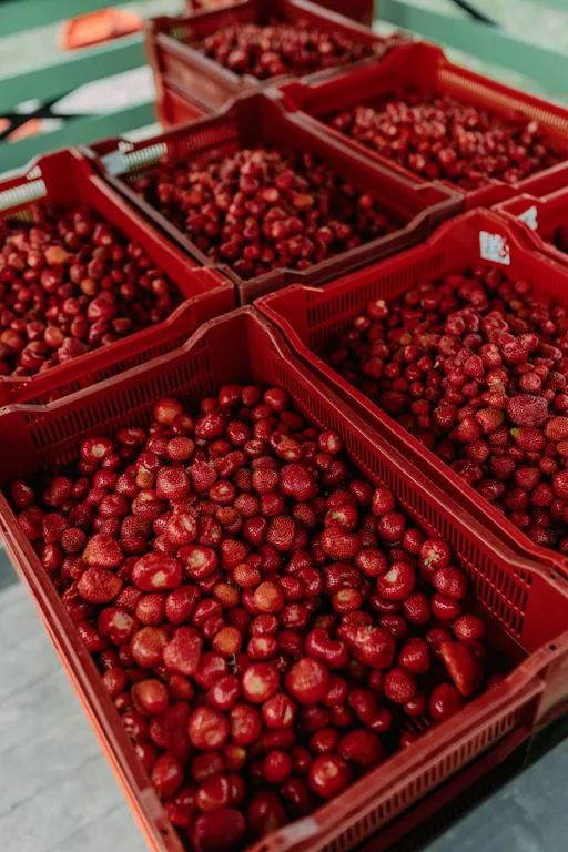 Дом с видом на озеро рядом с Ладожскими шхерами