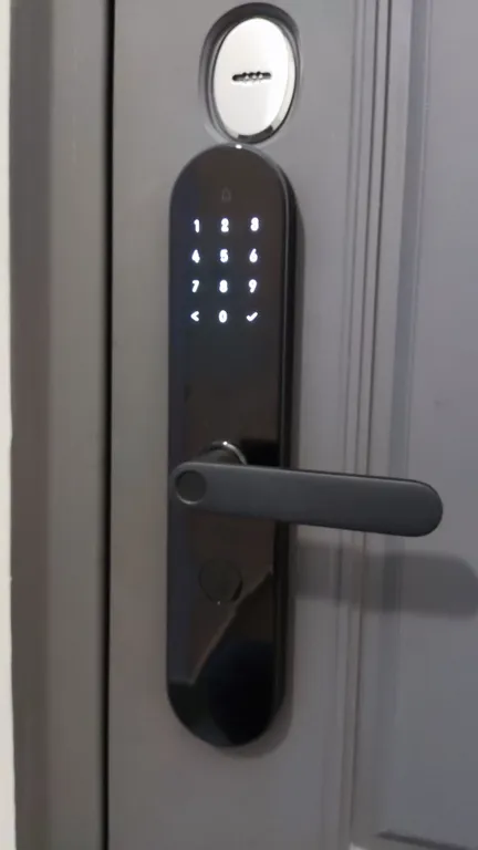 Mi Home. Росгартен