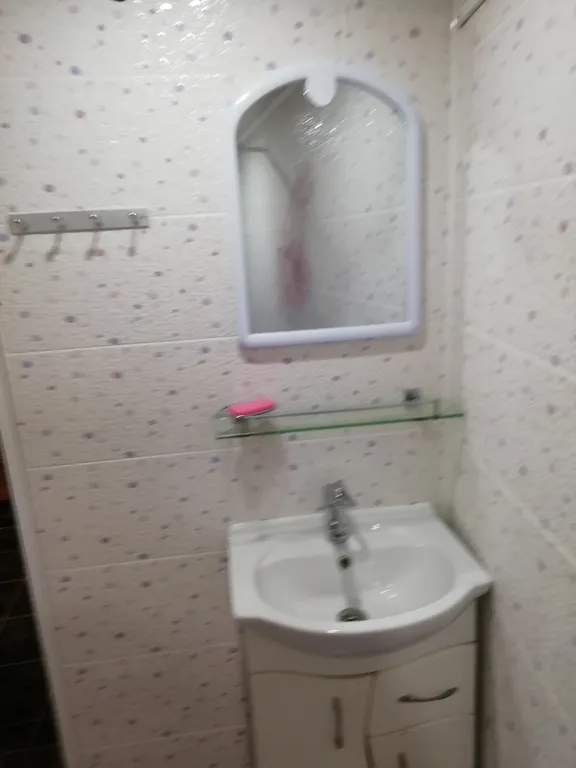 Однокомнатная квартира с двориком