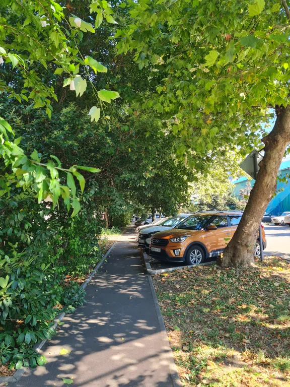 Квартира, центр города