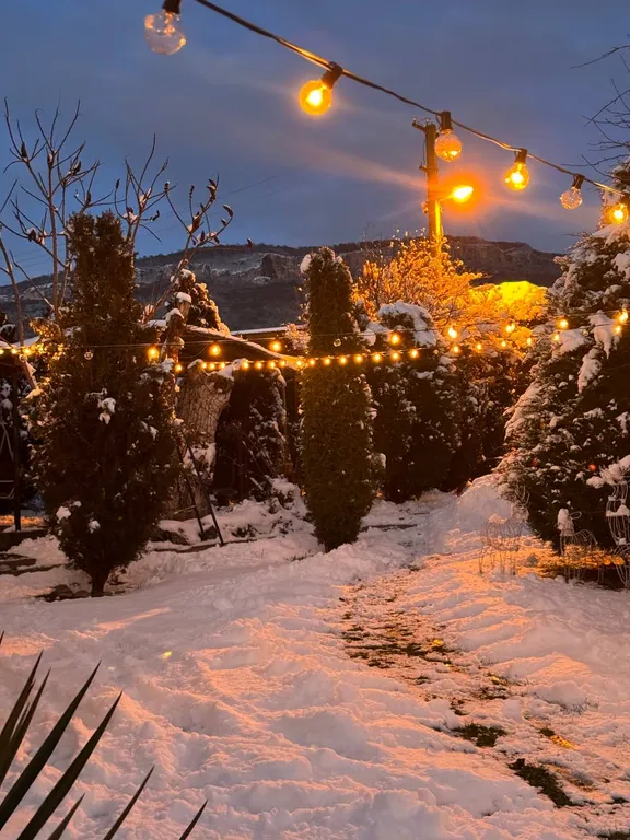 Апартамент с красивым видом на горы