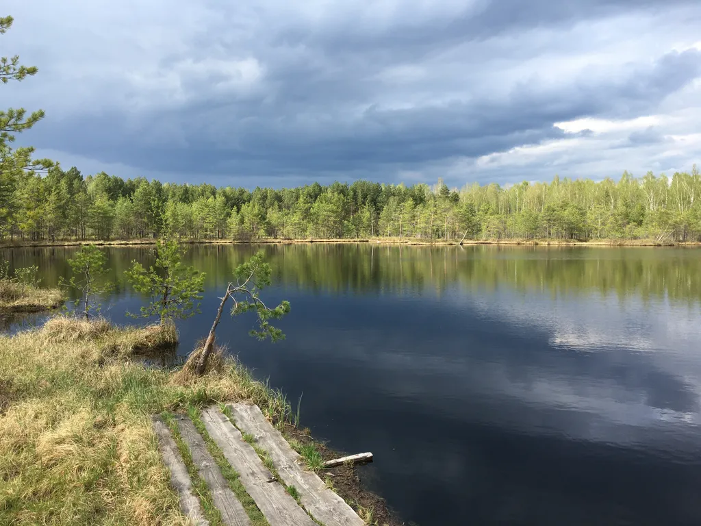 Дом в стиле A-frame на самом берегу реки