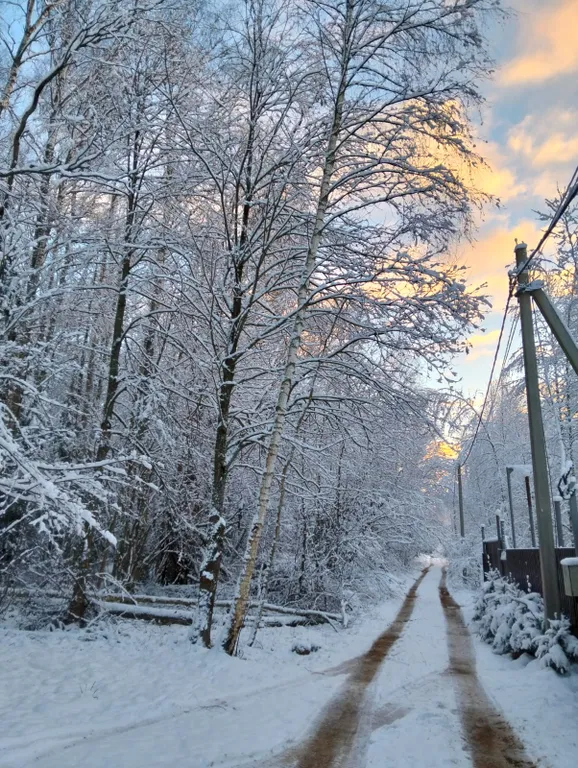 Дом и баня в окружении сказочного леса