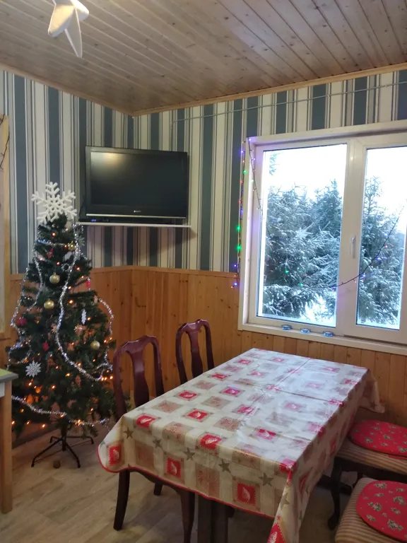 Дом в Карелии с печью-камином и видом на лес