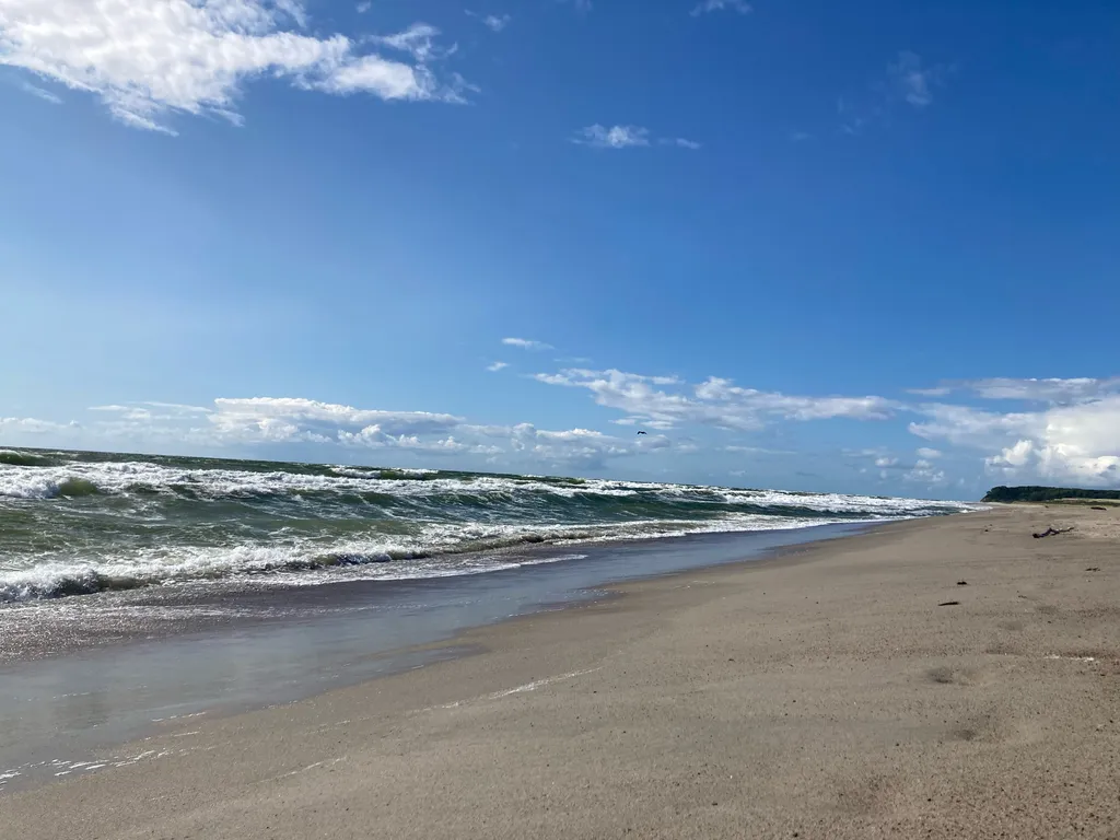 Янтарная бухта