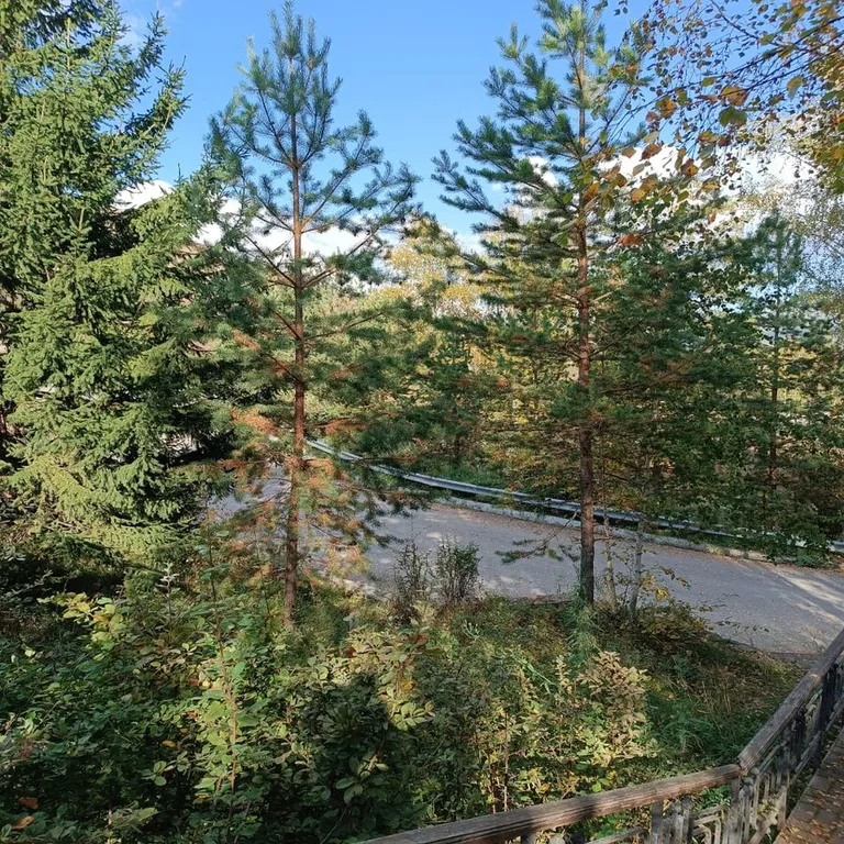 Уютные апартаменты в Новоабзаково