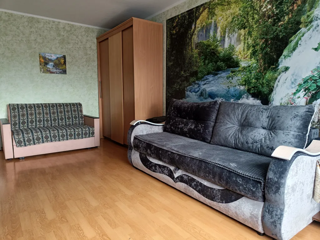 Уютная однокомнатная квартира