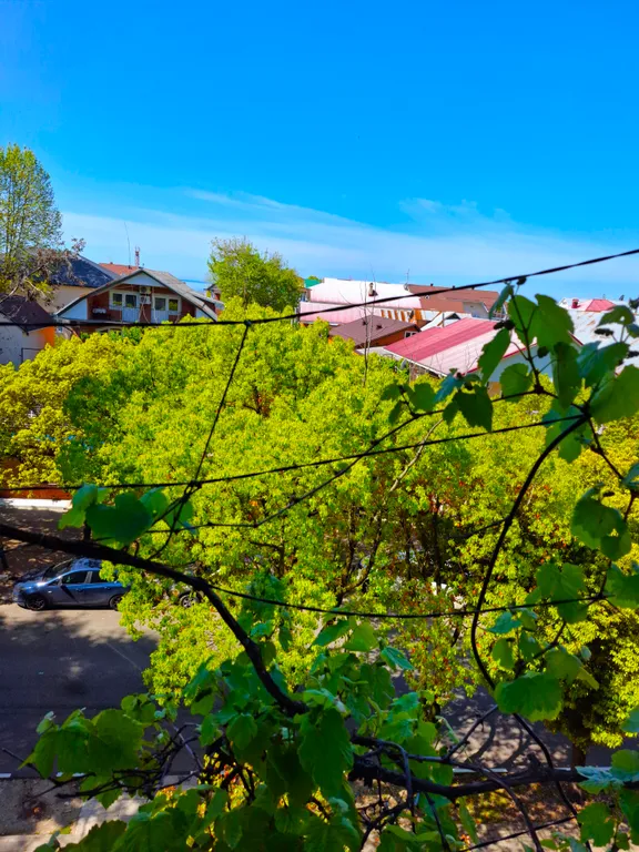 Квартира Семейные апартаменты как дома — Лазаревское