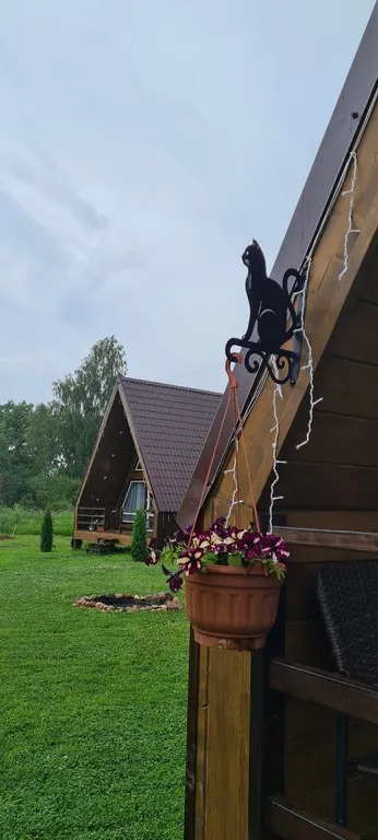 Красивый дом с видом на лес