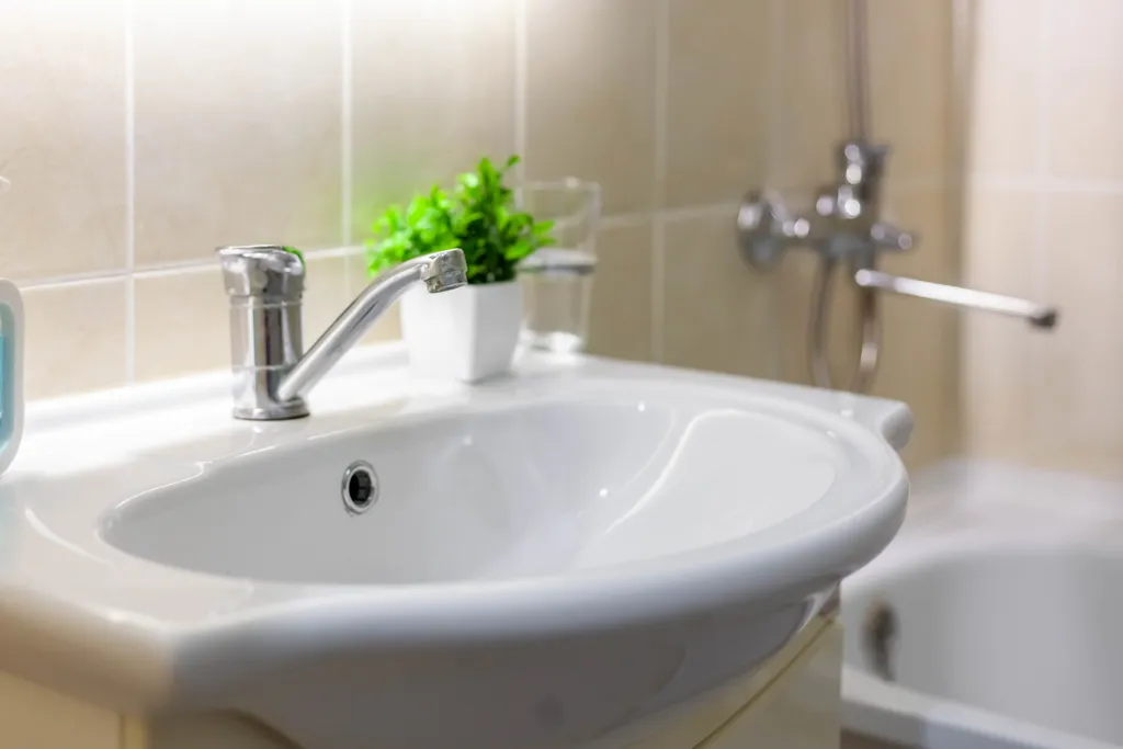 Гармония прованса