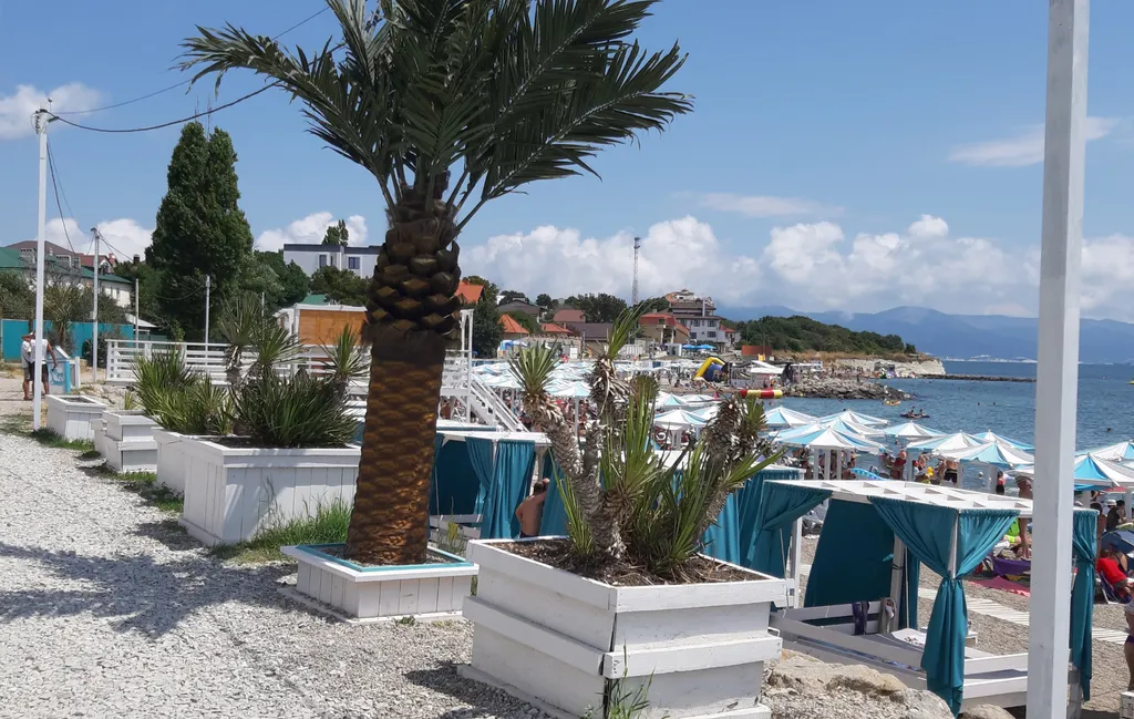 Квартира на первой линии у моря, около пляжа