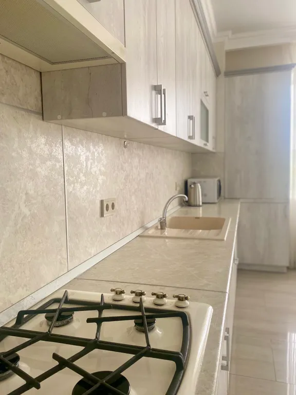 Просторная квартира с видом на горы в центре города