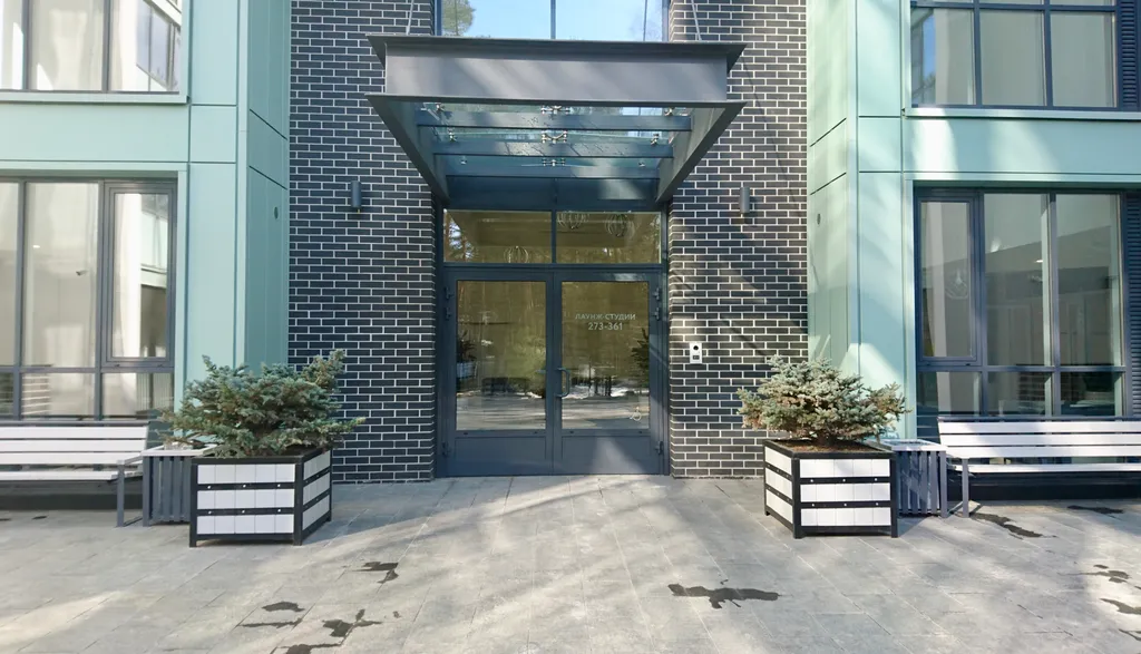 У залива среди сосен