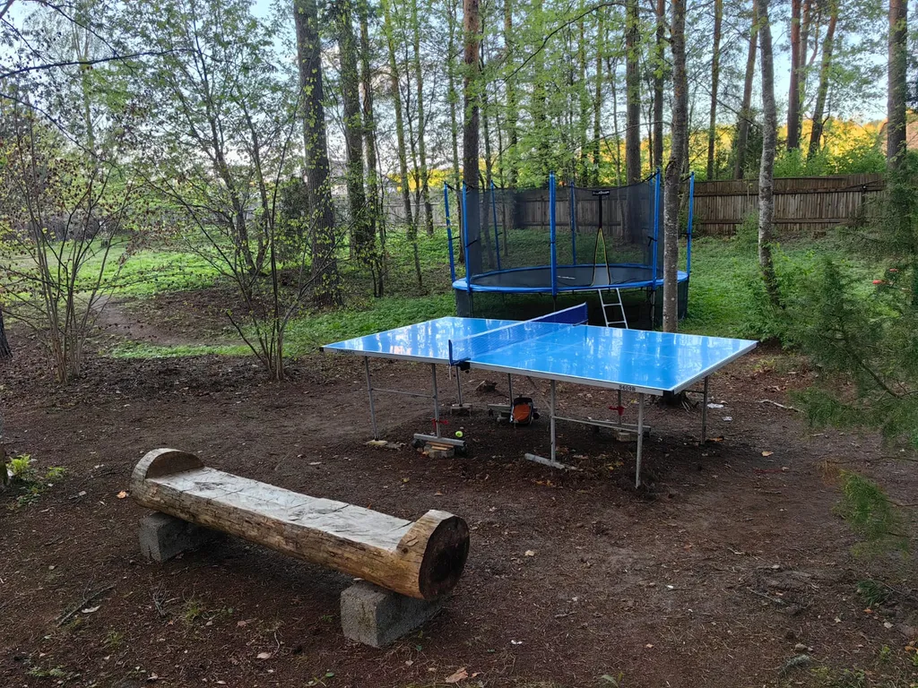 Коттедж Дом у озера с баней, чаном и детской площадкой с батутом. — Ланино