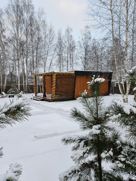 Уютный дом с панорамными окнами