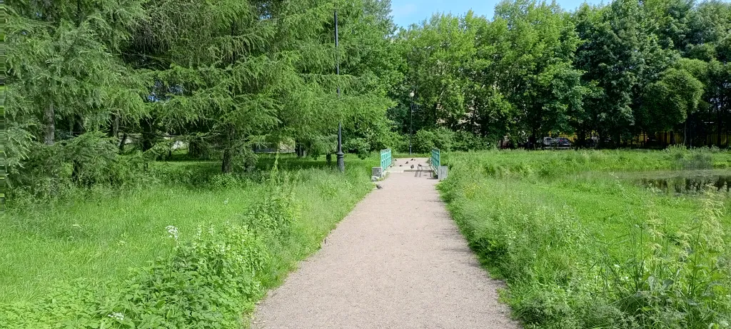 Комната у метро Нарвская