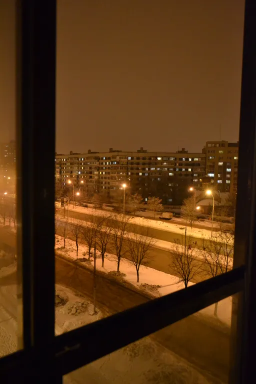 Квартира у леса