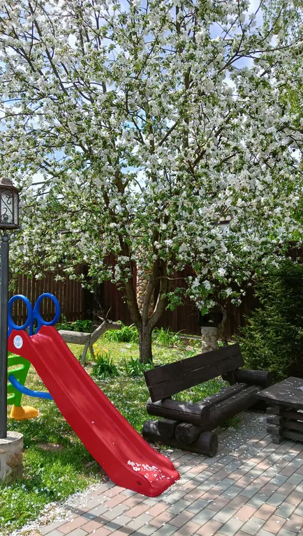 Дом-баня с бассейном