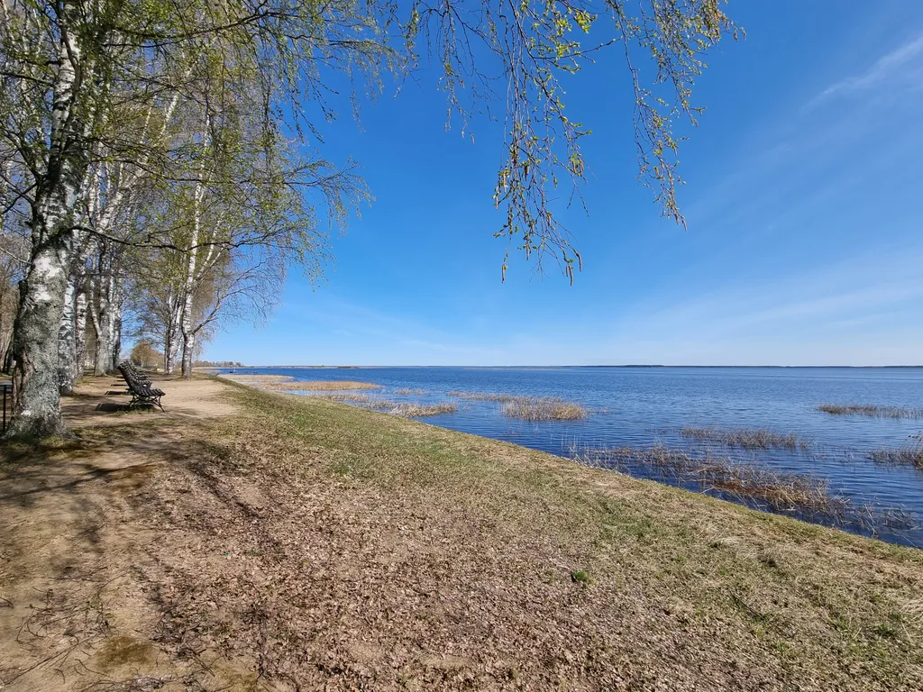 Уютный дом на берегу Рыбинского водохранилища