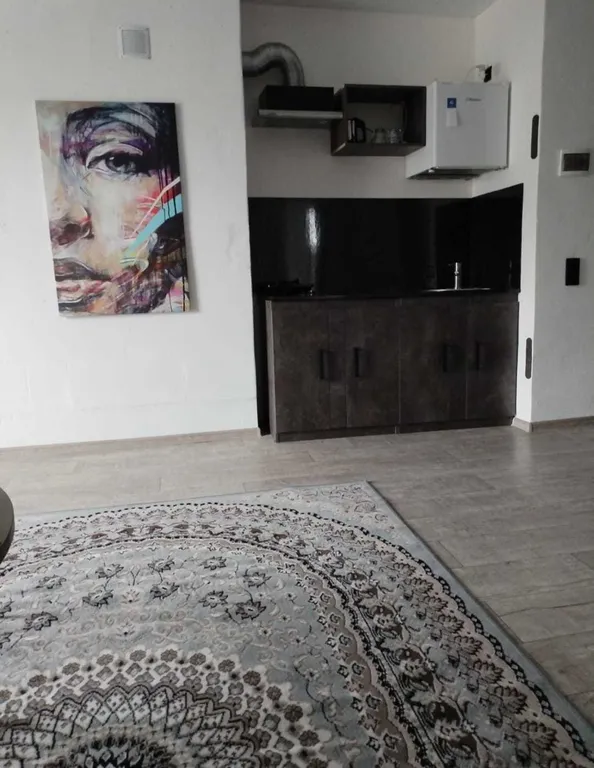 Уютные апартаменты