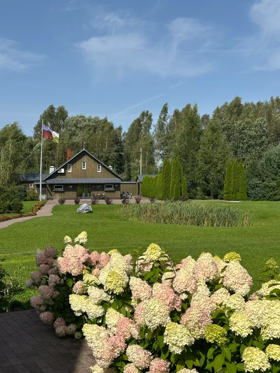 Scandi Арт-дом в сосновом бору