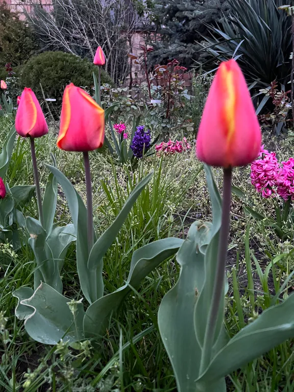 Коттедж Уютный домик у моря — Махачкала