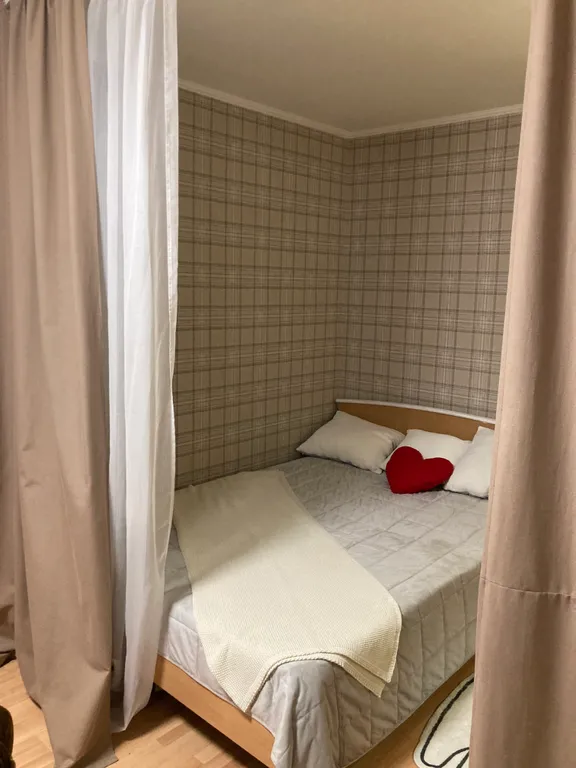 Квартира в хвойном лесу