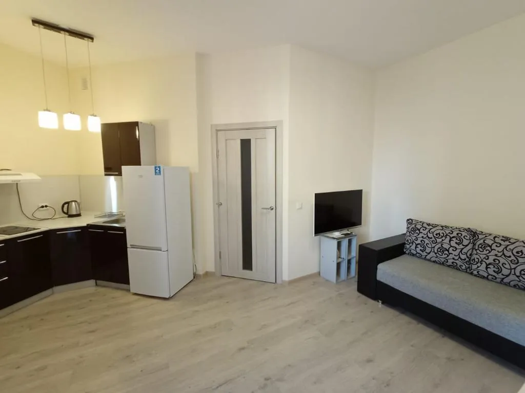 1-комнатная Квартира — аренда посуточно в Мурино